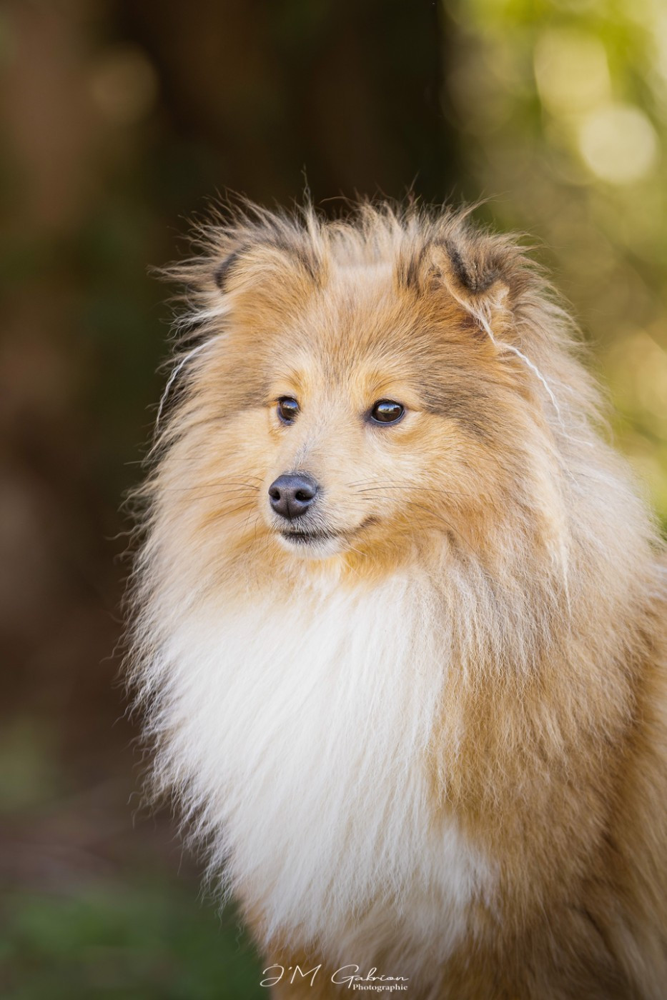 A Sweet Dream Azela De La Ria Triskela